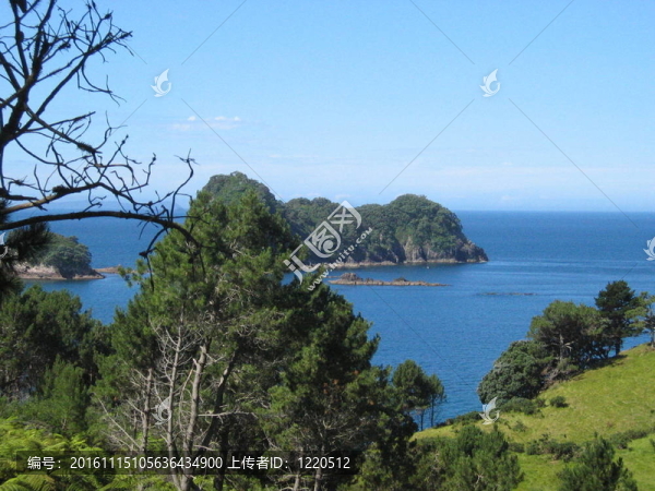 新西蘭綠海岸