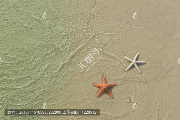 熱帶海灘上的海星；潮水來了