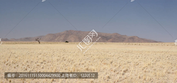 納米比亞全景式沙漠景觀