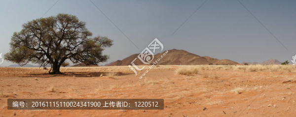 在納米比亞的提拉山全景景觀