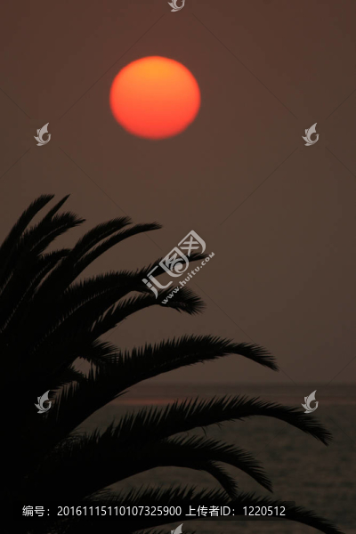 日落的海洋與棕櫚樹(shù)的前景