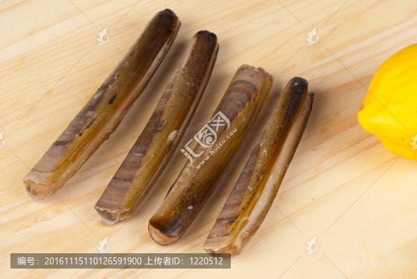 蟶子