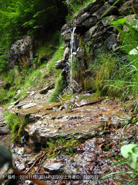 山上巖石和草地上的小水源
