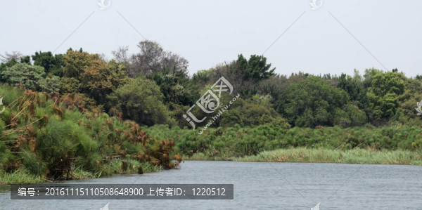 博茨瓦納奧卡萬戈河河。