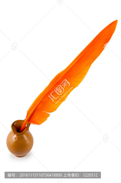 寫在白色背景上的羽毛
