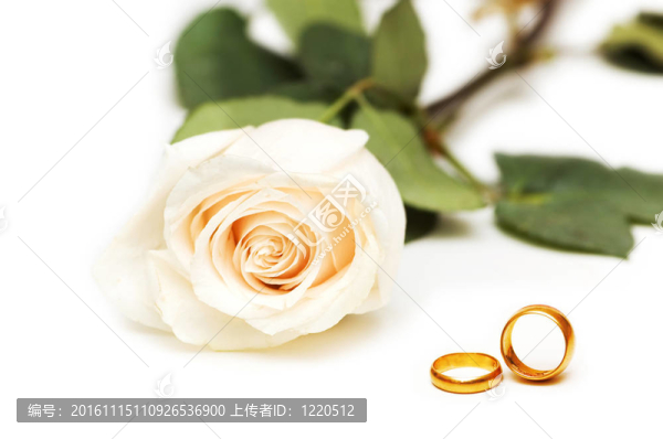 婚禮的概念與玫瑰和戒指