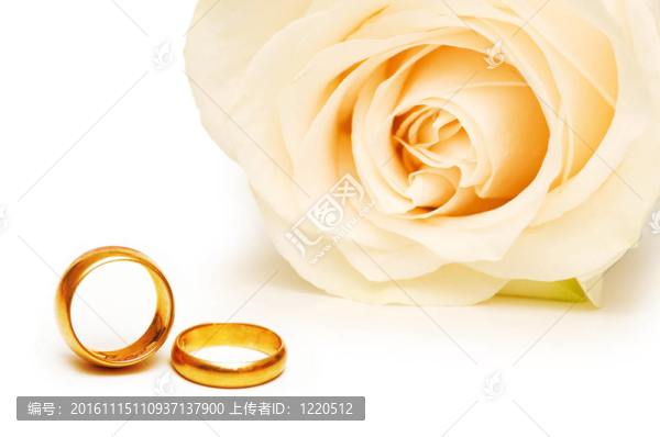 婚禮的概念與玫瑰和戒指