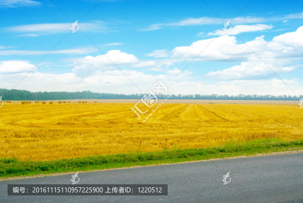 糧食領(lǐng)域
