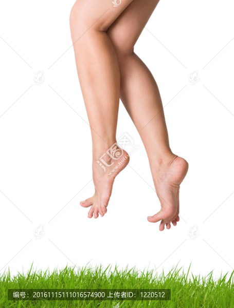 性感流暢的女人腿