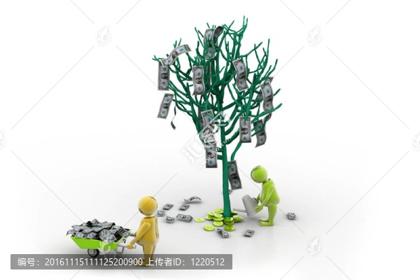 金錢樹