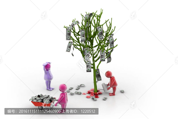 金錢樹