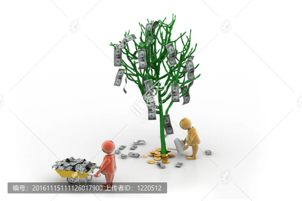 金錢樹