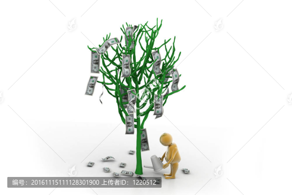 金錢樹