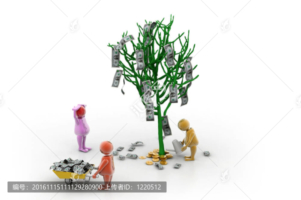 金錢樹