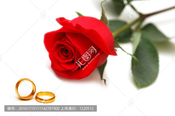 婚禮的概念與玫瑰和戒指