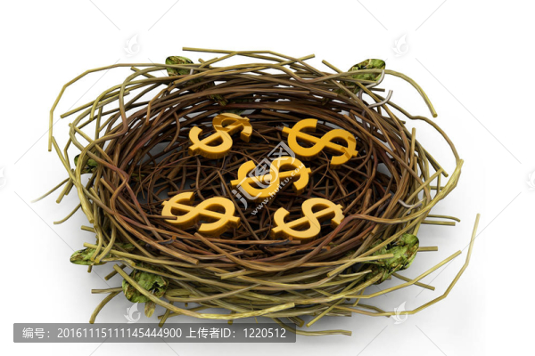 鳥(niǎo)巢里的美元符號(hào)-匯圖網(wǎng) www.fosd68.com 鳥(niǎo)巢里的美元符號(hào)