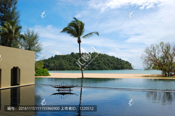 棕櫚樹在海灘和游泳池；普吉島；泰國