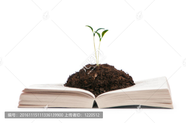 圖書與苗木知識(shí)觀