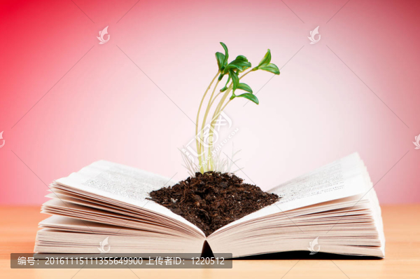 圖書與苗木知識觀