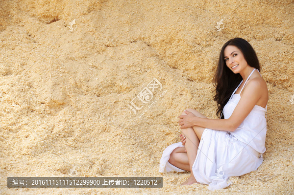 褐發(fā)女子的畫(huà)像