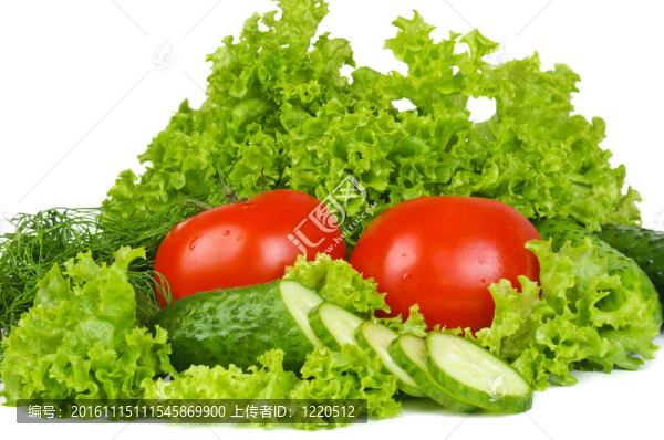 蔬菜