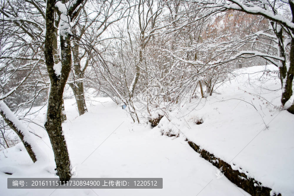 下雪