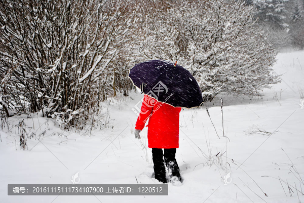 在雪中漫步