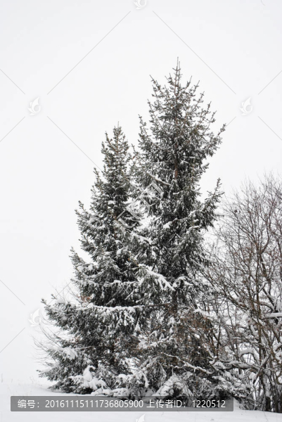 -匯圖網(wǎng) www.fosd68.com