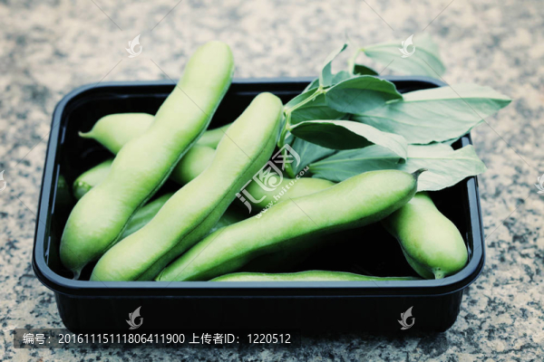新鮮的蠶豆
