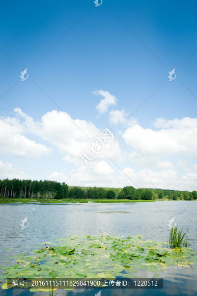 湖