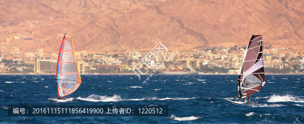在紅海上的沖浪者。
