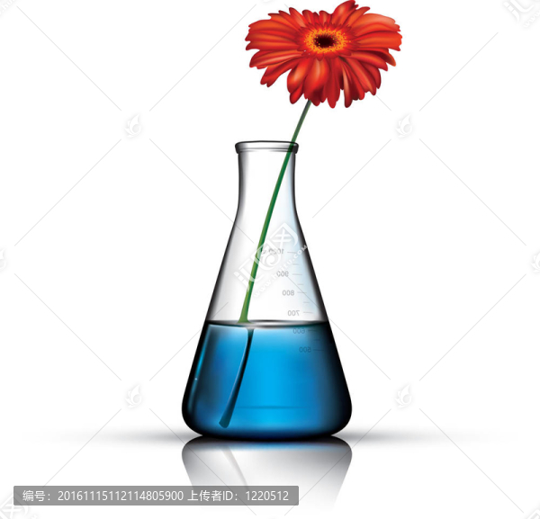 載體的化學(xué)燒瓶