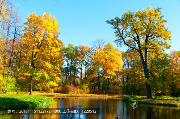 秋天的公園