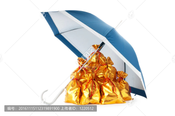 保護傘下的金麻袋