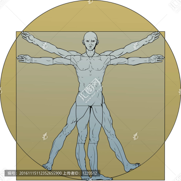 維特魯威學(xué)說的人體