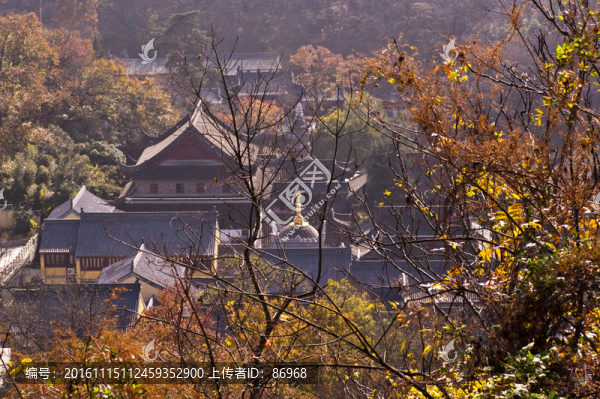 棲霞山楓葉