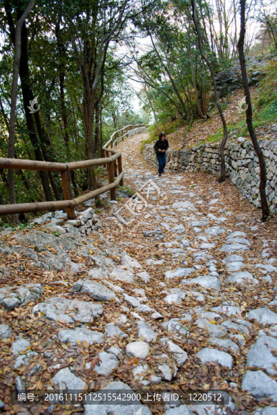 山中小路