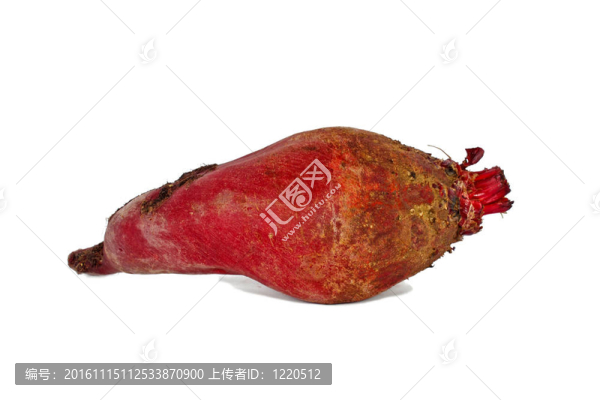 甜菜根