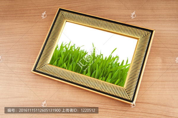 相框上的綠草