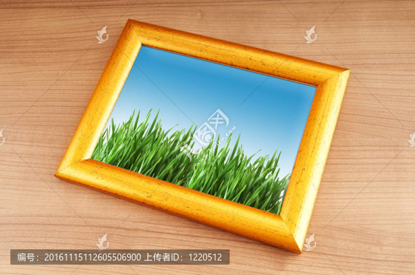 相框上的綠草