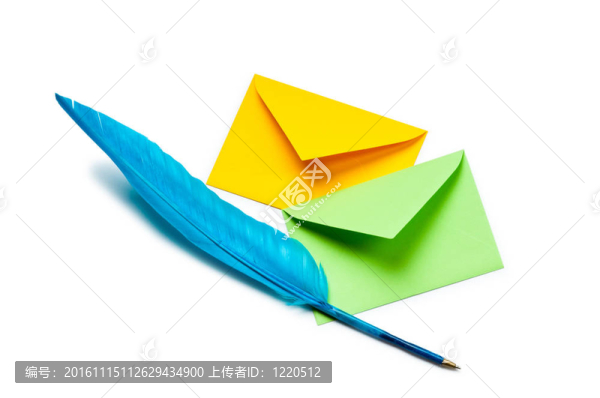 信和孤立在白色飛羽