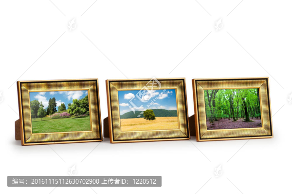 圖片框上的森林