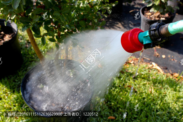 水管澆水花園植物