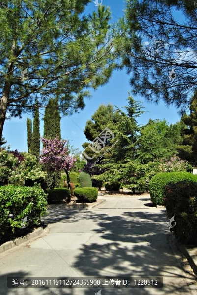 公園散步