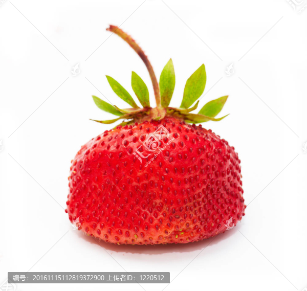 草莓