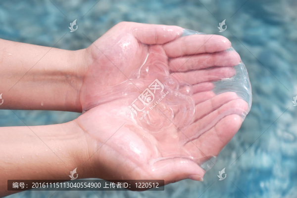 海蜇在手