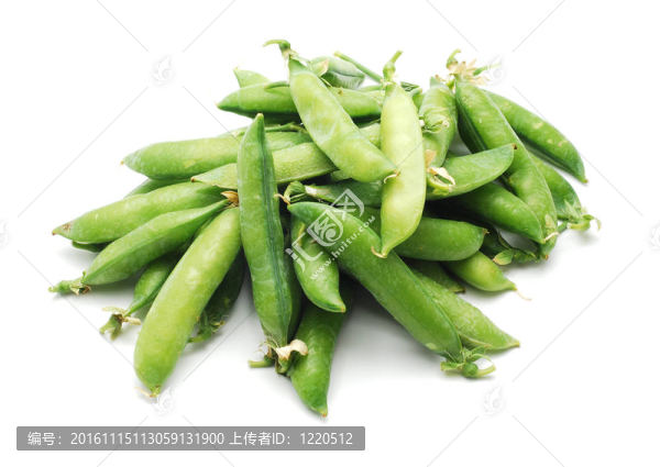 豌豆-匯圖網(wǎng) www.fosd68.com 豌豆