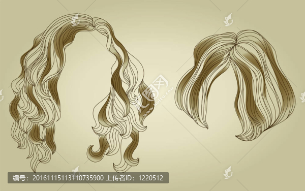 女人的發(fā)型設(shè)計