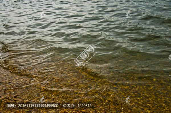 夏日海灘上卵石灘上的小波浪