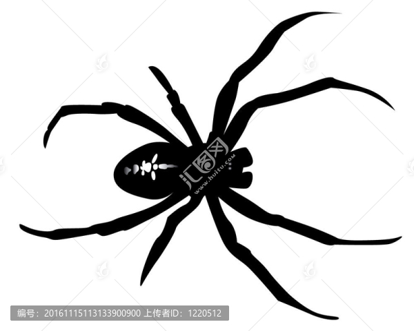 蜘蛛的黑色剪影-匯圖網(wǎng) www.fosd68.com 蜘蛛的黑色剪影